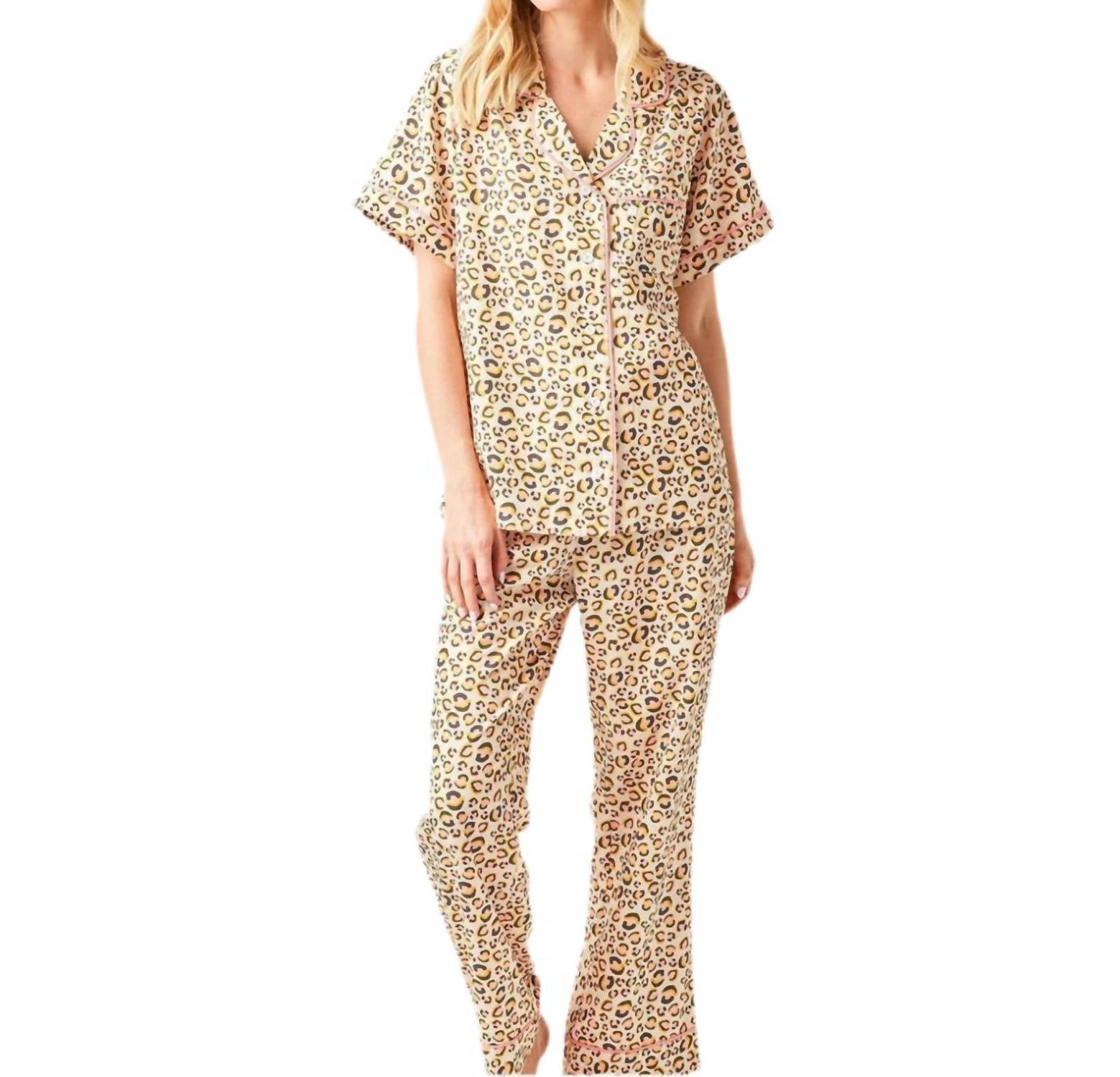 https://cdn.shopify.com/s/files/1/0291/4536/6588/files/642778d1d9c94979be17a6ed78ba0998.jpg?v=1738656532