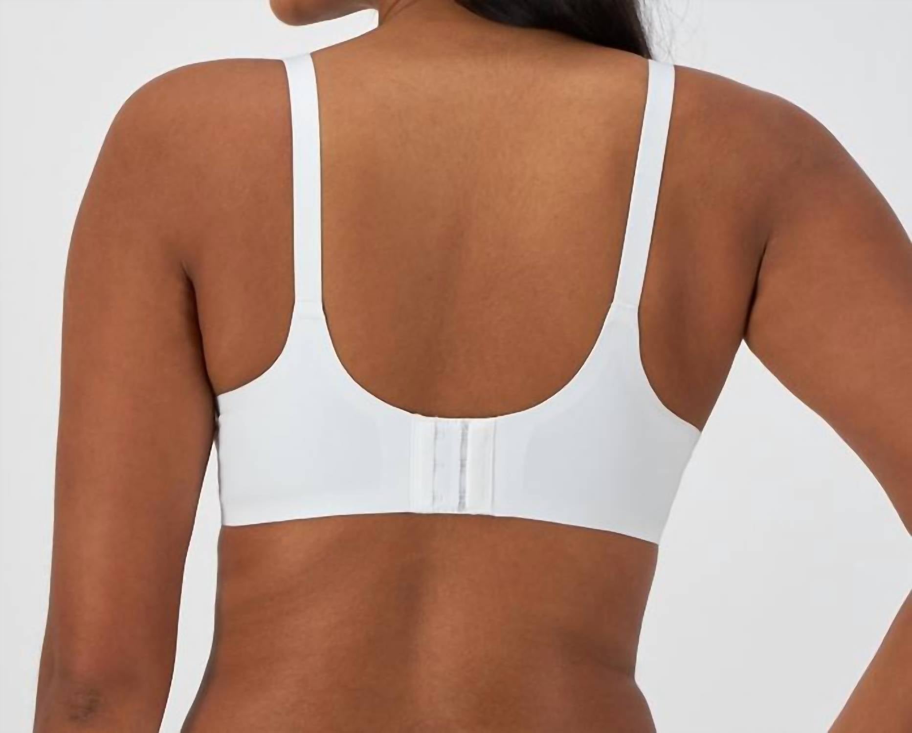 https://cdn.shopify.com/s/files/1/0291/4536/6588/files/1b98eab127ed46f2a40a0133bd32ab4d.jpg?v=1739241904