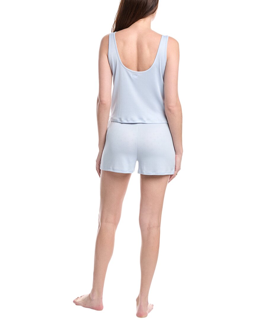 https://cdn.shopify.com/s/files/1/0291/4536/6588/files/bc9f902ea76a40ed90c5a7df9ef9b5c3.jpg?v=1744669460