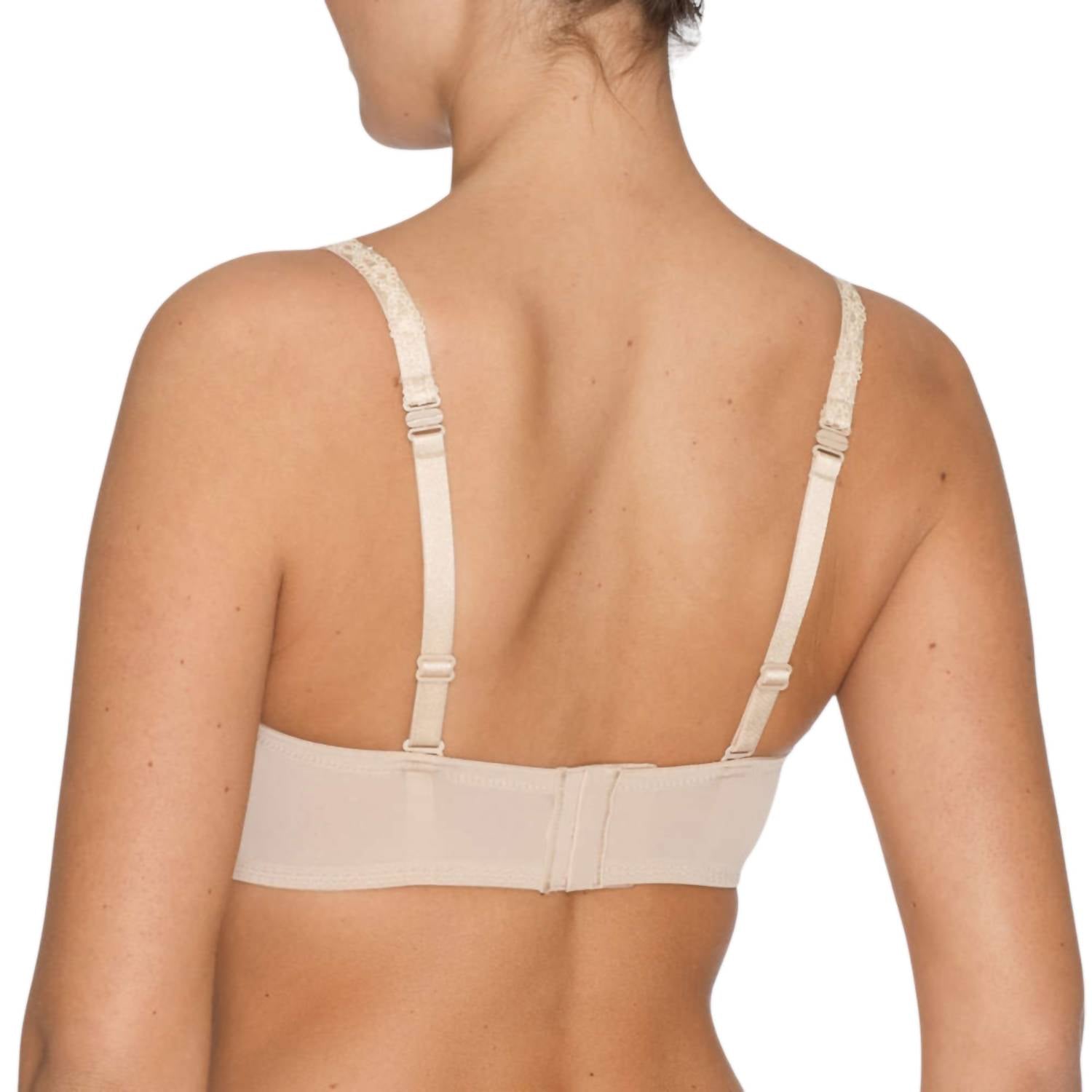 https://cdn.shopify.com/s/files/1/0291/4536/6588/files/d9f32e61145c43c2927f95499b49e531.jpg?v=1735854695